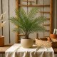 Artificial Plant